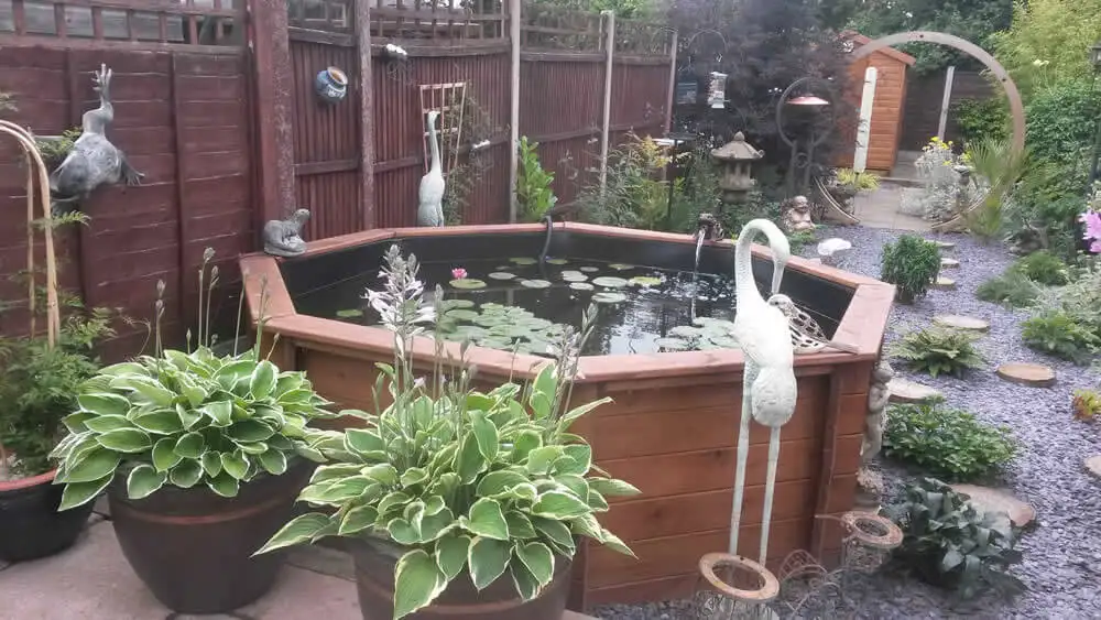 Great Looking Octagonal Pond