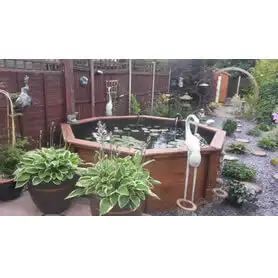 Thumbnail of Great Looking Octagonal Pond