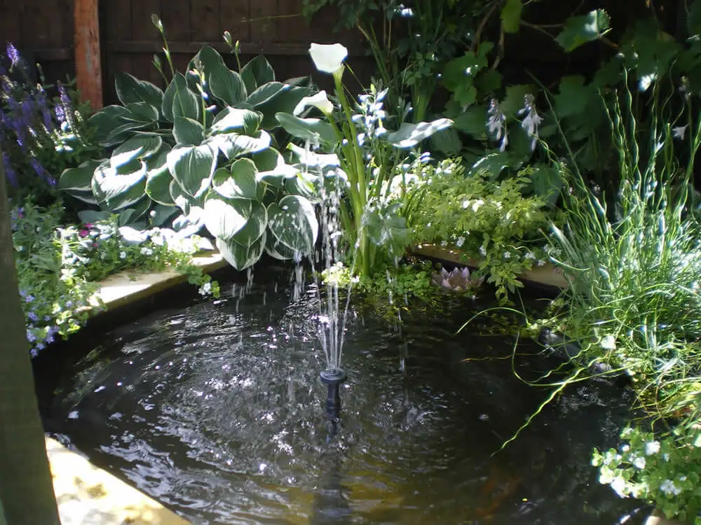 Great Looking Square Pond