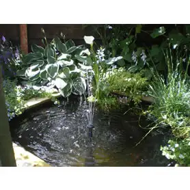 Thumbnail of Great Looking Square Pond