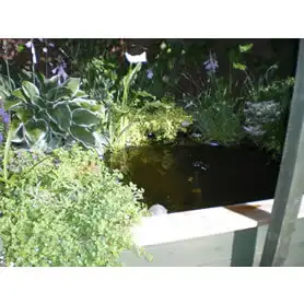 Thumbnail of Great Looking Pond