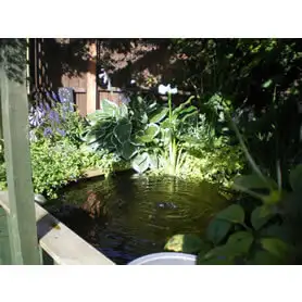 Thumbnail of Great Looking Pond