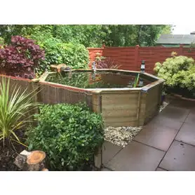Thumbnail of Great Looking Octagonal Pond