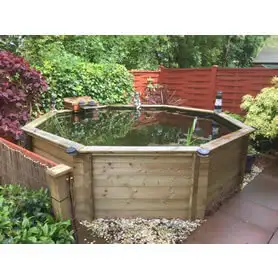 Thumbnail of Great Looking Octagonal Pond