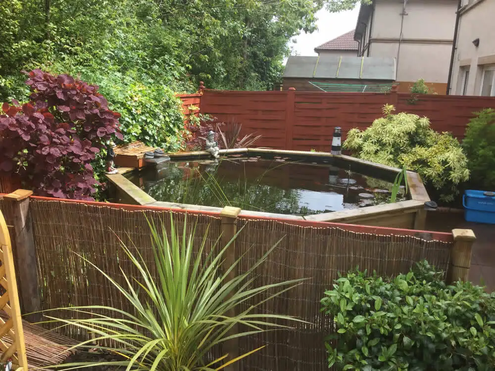 Great Looking Octagonal Pond