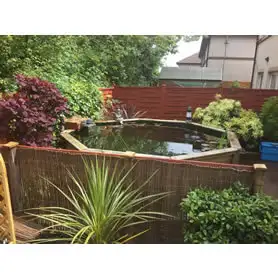 Thumbnail of Great Looking Octagonal Pond