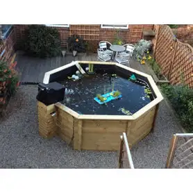 Thumbnail of Great Looking Octagonal Pond