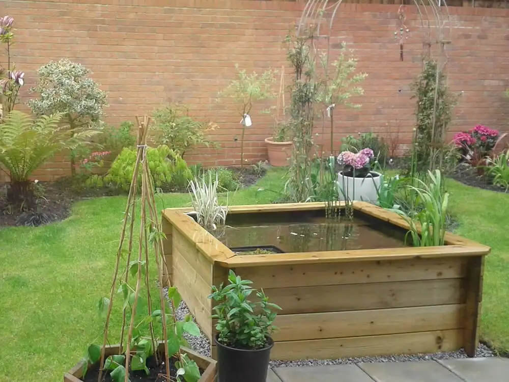 Great Looking Pond