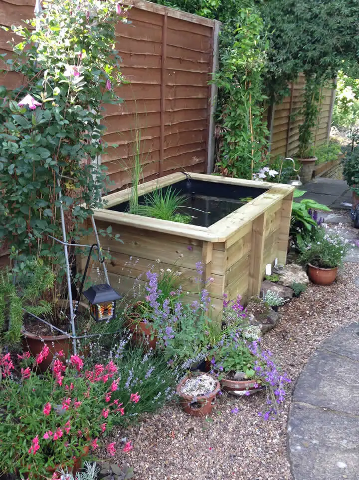 Great Looking Pond