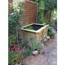 Thumbnail of Great Looking Pond