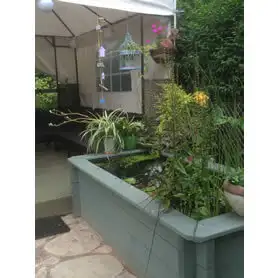 Thumbnail of Great Looking Pond