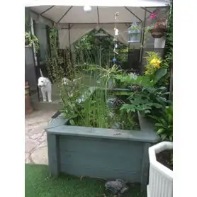 Thumbnail of Great Looking Pond