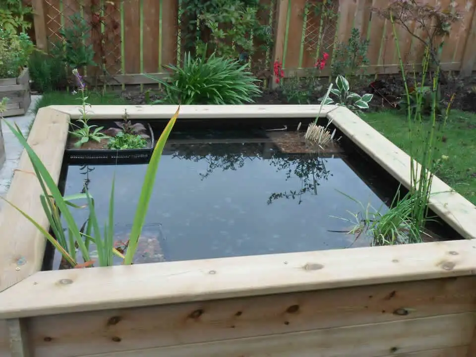 Great Looking Pond