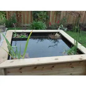 Thumbnail of Great Looking Pond