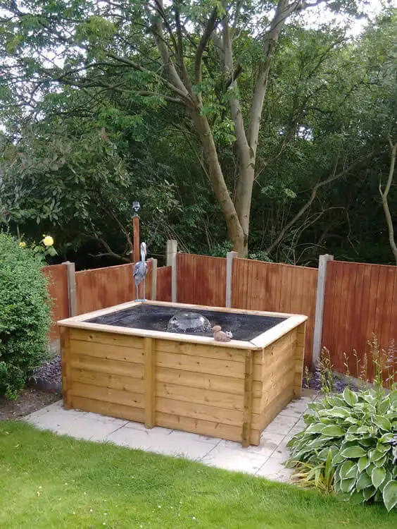 Great Looking Pond