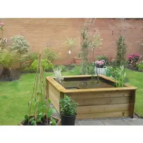 Thumbnail of Great Looking Pond