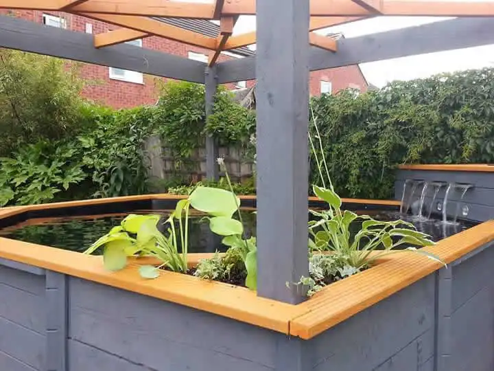Great Looking Pond