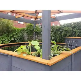 Thumbnail of Great Looking Pond