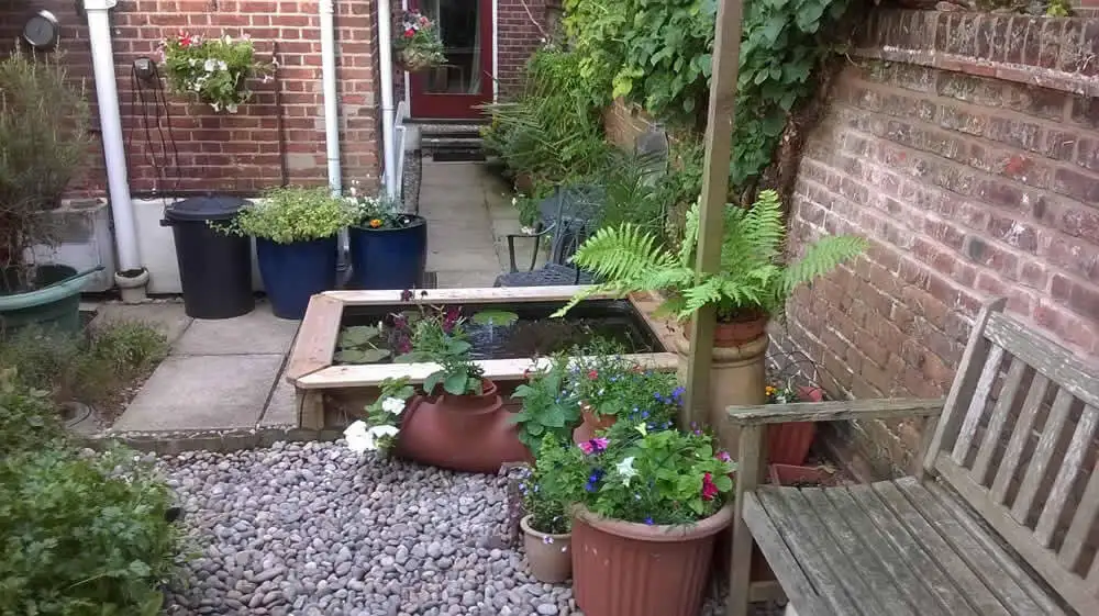 Great Looking Pond