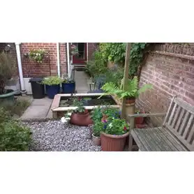 Thumbnail of Great Looking Pond