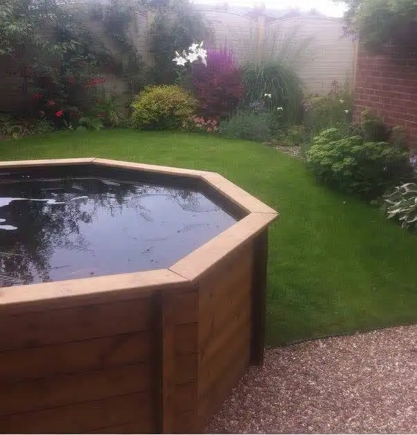 Great Looking Pond