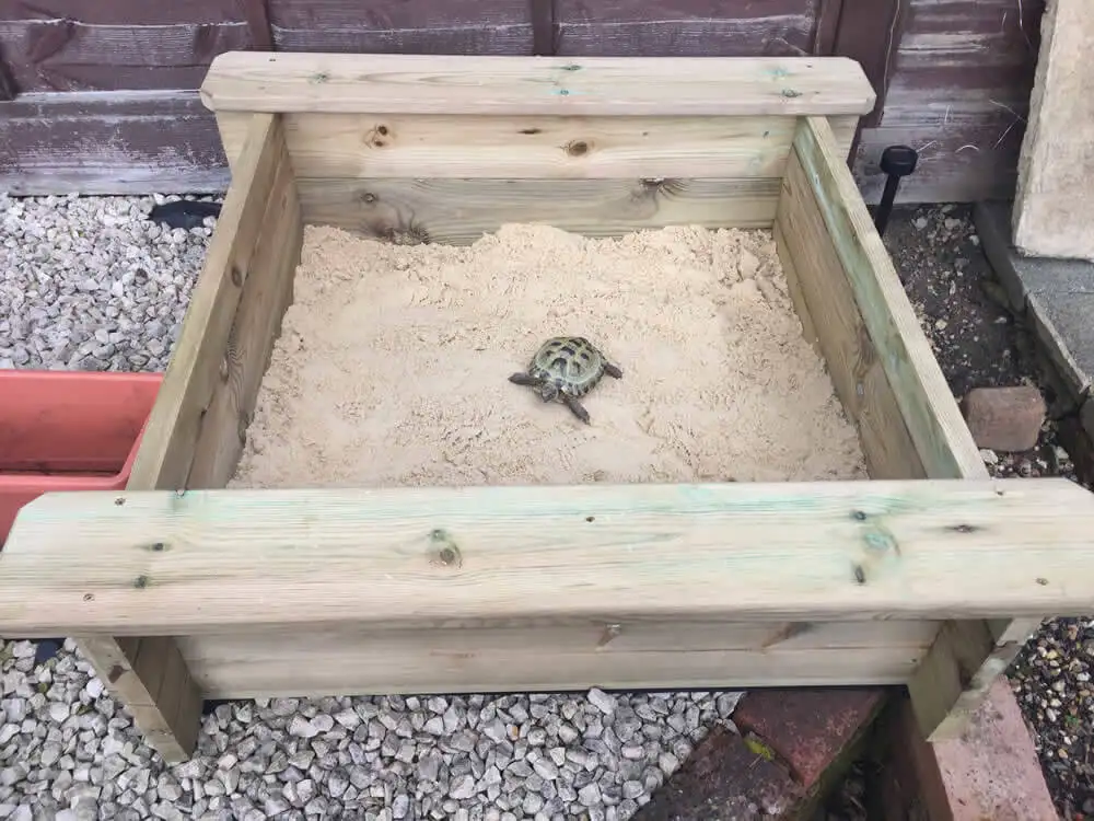 Sandpit with Tortoise