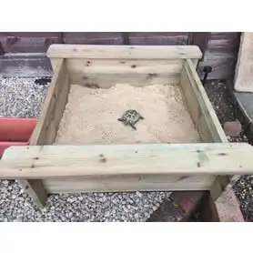 Thumbnail of Sandpit with Tortoise