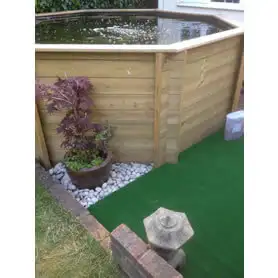Thumbnail of Great Looking Octagonal Pond