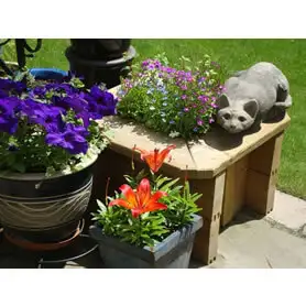 Thumbnail of Planter