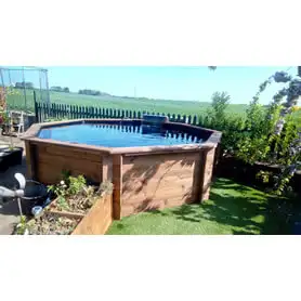 Thumbnail of Octagonal Pond