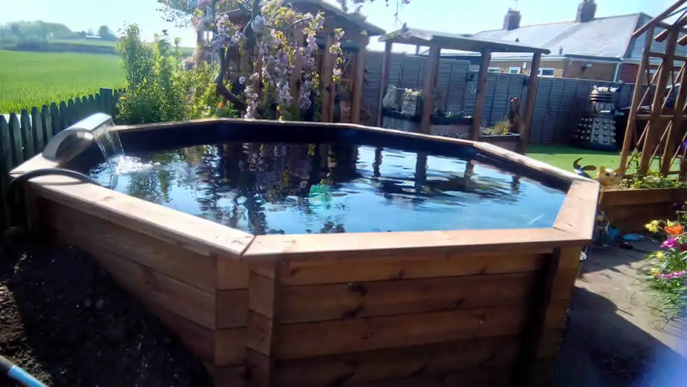 Octagonal Pond