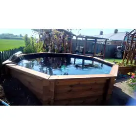Thumbnail of Octagonal Pond