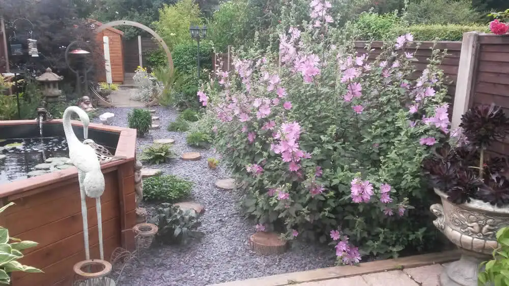 Great Looking Octagonal Pond