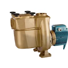 Calpeda Bronze NMP Self Priming Centrifugal Pump