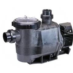 Waterco Hydrostorm Plus Commercial Pump