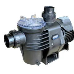 Waterco Hydrostorm Pump