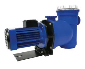 Argonaut Pool Pumps